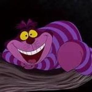 Meet your Posher, Johan